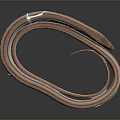 Brown And White Striped Snake Coiled On Smooth Black Surface