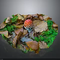 Autumn Forest Floor Scene With Red White Spotted Mushroom Fallen Leaves And Green Foliage