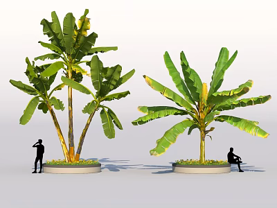 Large Leafy Shrubs In Circular Planters With Standing And Sitting Silhouette People Outdoor 3d model