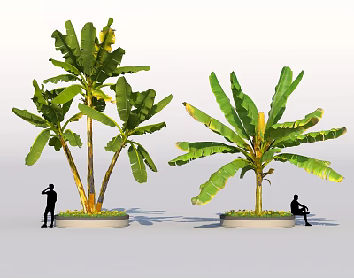 Large Leafy Shrubs In Circular Planters With Standing And Sitting Silhouette People Outdoor 3d model