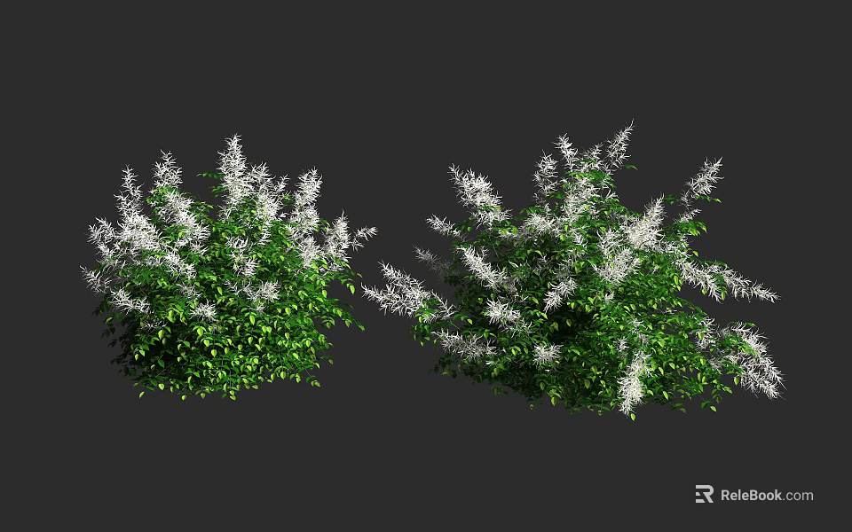 Beautiful Green Shrubs With White Flowers In Outdoor Landscape Design 3d model 
