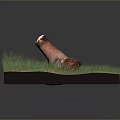 Wooden Log With Stone Accent Placed On Grass Covered Display Base