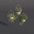 Three Lush Green Hanging Plants in Metallic Hanging Pots Against Gray Background
