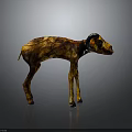 Standing Brown Yellow Textured Ram Sculpture on Dark Reflective Surface