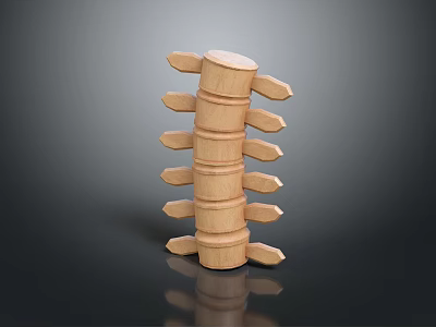 Anatomical Spinal Model Medical Device For Educational And Clinical Use 3d model