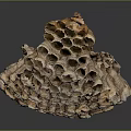Bee Made Natural Honeycomb Structure With Intricate Hexagonal Cells Design Details 3d model