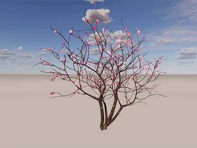 Tall Arbor With Pink Flowers And Branches Against Blue Sky And White Clouds 3d model