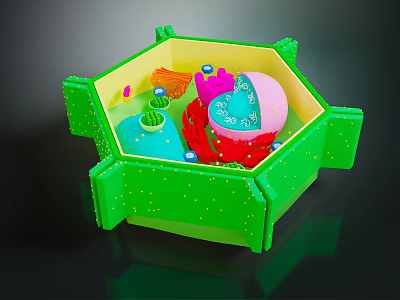 Colorful Organ And Hair Structure Model In Green Hexagonal Container 3d model