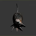 Red and Black Fish With Shiny Scales And Reflection On Dark Background