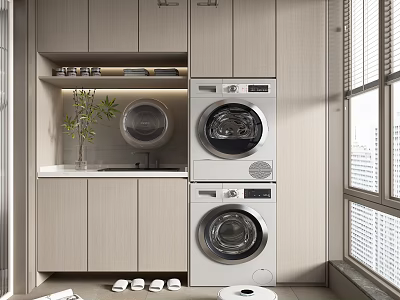 Home Balcony Laundry Space With Stacked Washing Machine Dryer Cabinetry Sink And Green Plant 3d model