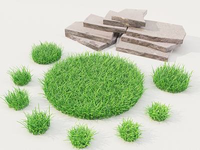 Grass 3d model