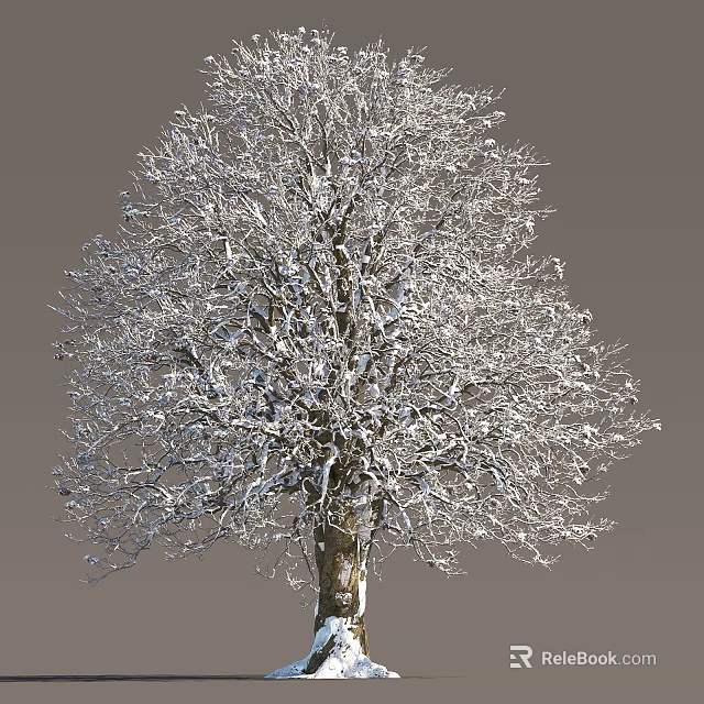 Winter Scene of Snow-Covered Arbor with Frosted Bare Branches Against Gray Background 3d model 