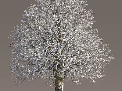 Winter Scene of Snow-Covered Arbor with Frosted Bare Branches Against Gray Background 3d model