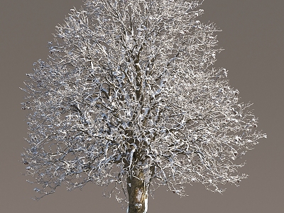 Snow Trees Winter Trees Snow Trees Plants Winter Snow Trees Frozen Trees Landscape Trees Big Trees Dead Trees 3d model