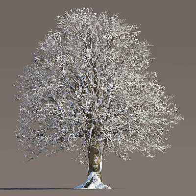 Winter Scene of Snow-Covered Arbor with Frosted Bare Branches Against Gray Background 3d model