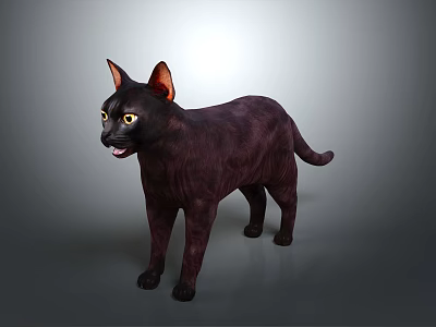 Black Cat Standing With Yellow Eyes And Shiny Fur Against Gray Background 3d model
