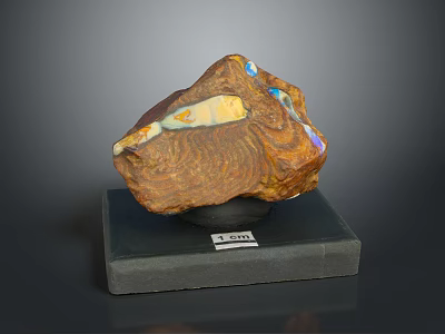 Natural Wood Stone With Brown Texture On Black Base And Label J001 3d model
