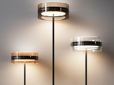 Modern Lighting Combination with Floor Lamps Various Sizes Transparent Shades Black Stripes Against Light Wall 3d model