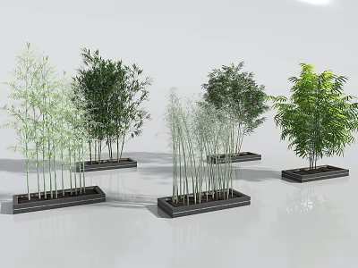 Various Bamboo Plant Varieties Potted in Black Containers with Different Heights and Leaf Colors 3d model