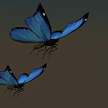 Two Blue Flying Butterflies With Vibrant Wings On White Background 3d model