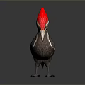 Woodpecker With Red Crest Long Beak White Facial Stripes And Dark Body On Gray Background