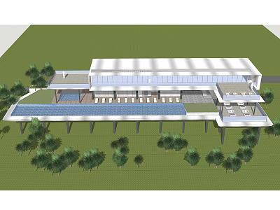 Modern Contemporary Villa Exterior With Long Swimming Pool And Surrounding Greenery 3d model