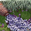 Living Green Plant Wall With Various Greenery Purple Flowers And Lush Foliage