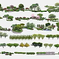 Various Arbor Tree Species For Landscape Design And Garden Greenery