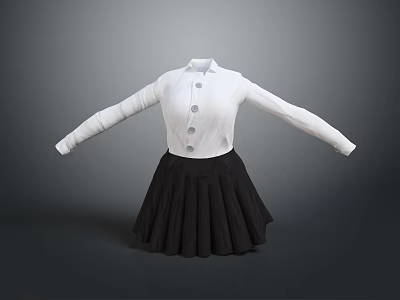 White Long Sleeve Buttoned Shirt with Black Pleated Skirt Women's Fashion Outfit 3d model