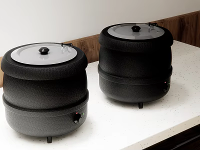 Two Black Electric Rice Cookers With Lids And Knobs On White Countertop 3d model