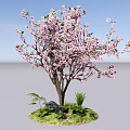 Ornamental Tree with Pink Blossoms Green Grass Small Plants and Stone Base