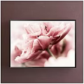 Framed Botanical Painting Of Pink Tulip With Soft Petals On Dark Wall