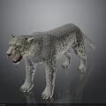 Snow Leopard 3D Model with White Fur and Black Spots Open Mouth on Black Background