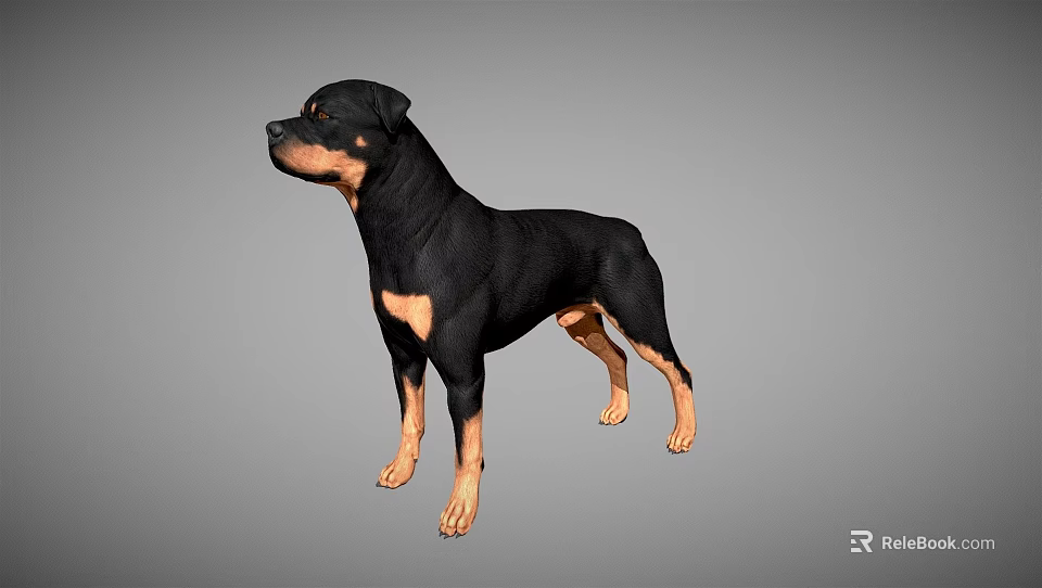 Reptile Lizard With Brown And Black Skin Standing On Gray Background 3d model 