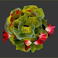 Decorative Potted Plant With Green Leaves And Red Flowers In Red Pot