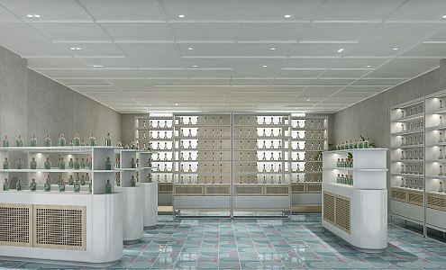 Modern Store 3d model