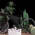 Modern Bicycle Display with Cacti Palm Plants and White Storage Box on Gravel
