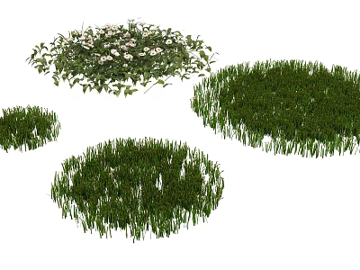 Green Grass Patches And White Flowering Plant In Garden Landscaping 3d model