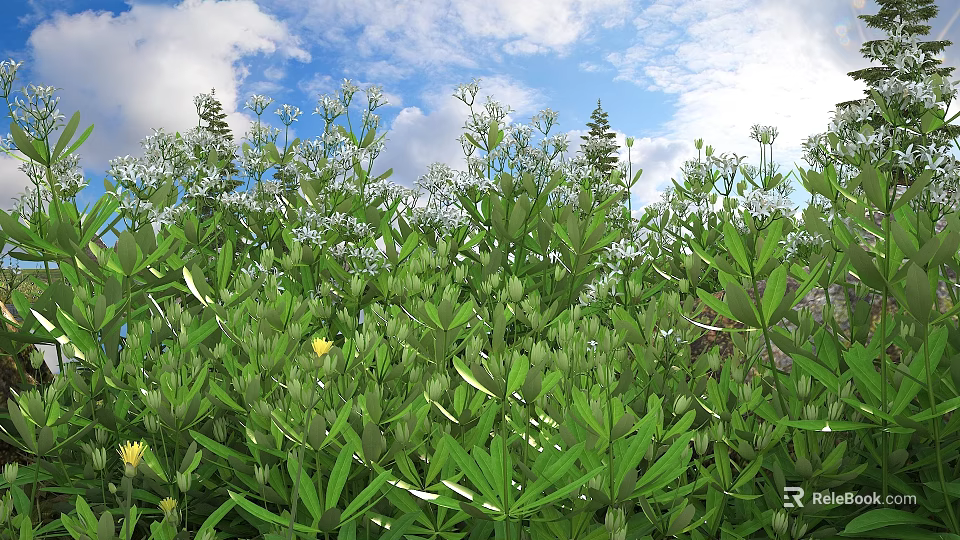 Lush Green Shrubs With White Small Flowers Against Blue Sky Background 3d model 