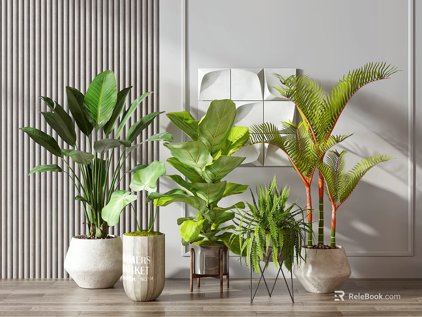 Indoor Potted Plants with Various Green Foliage in Modern Ceramic Pots for Home Decor 3d model 