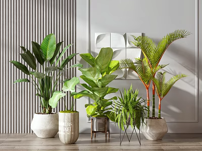 Indoor Potted Plants with Various Green Foliage in Modern Ceramic Pots for Home Decor 3d model