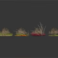 Various Small Plants With Different Colors And Shapes On White Background