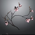 Elegant Pink Blossom Branch Adorned with Delicate Flowers on Dark Background