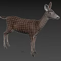 Realistic 3D Deer Model in Standing Pose With Detailed Features And Gray Background 3d model