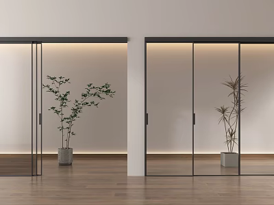 Glass Sliding Doors with Black Frames Indoor Plants White Walls Wooden Floor Ambient Lighting 3d model