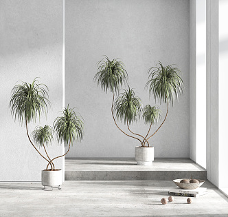 Modern potted plant combination 3d model