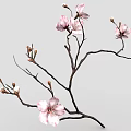 Pink Flowering Branch With Blooming Blossoms And Small Flower Buds On Gray Background