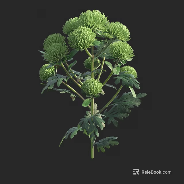 Lush Arbor With Green Flower Buds And Dense Foliage In Natural Environment 3d model 