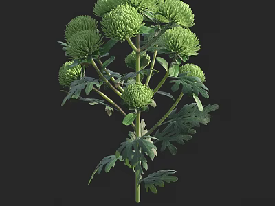 Lush Arbor With Green Flower Buds And Dense Foliage In Natural Environment 3d model
