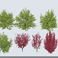 Diverse Garden Trees With Green And Red Foliage And Varied Canopy Shapes